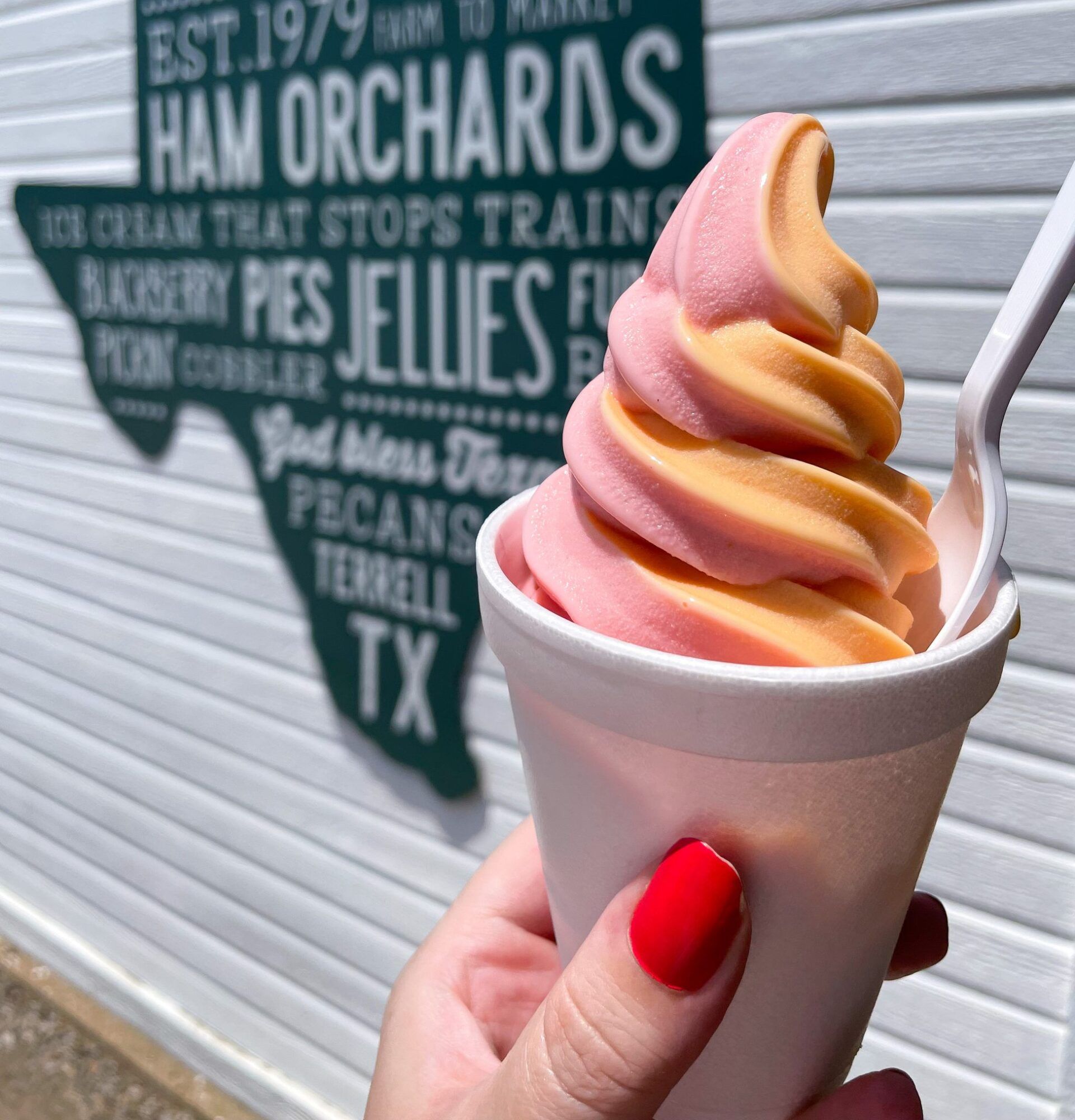 Close up of a soft serve ice cream held up by a woman's hand with a texas state sign in the background