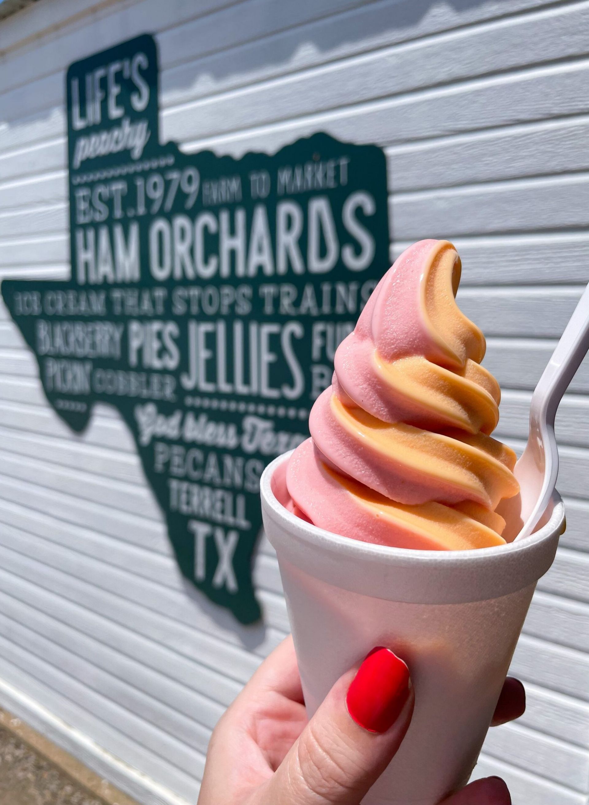 Close up of a soft serve ice cream held up by a woman's hand with a texas state sign in the background